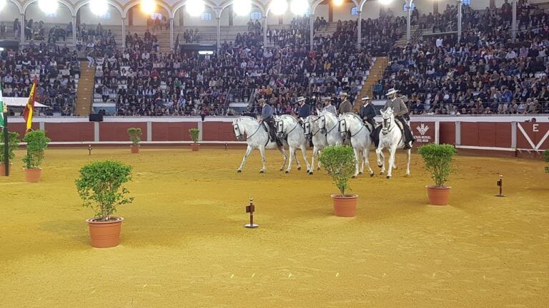 Descubre cómo comprar entradas para el impresionante espectáculo de los Caballos Andaluces en Jerez